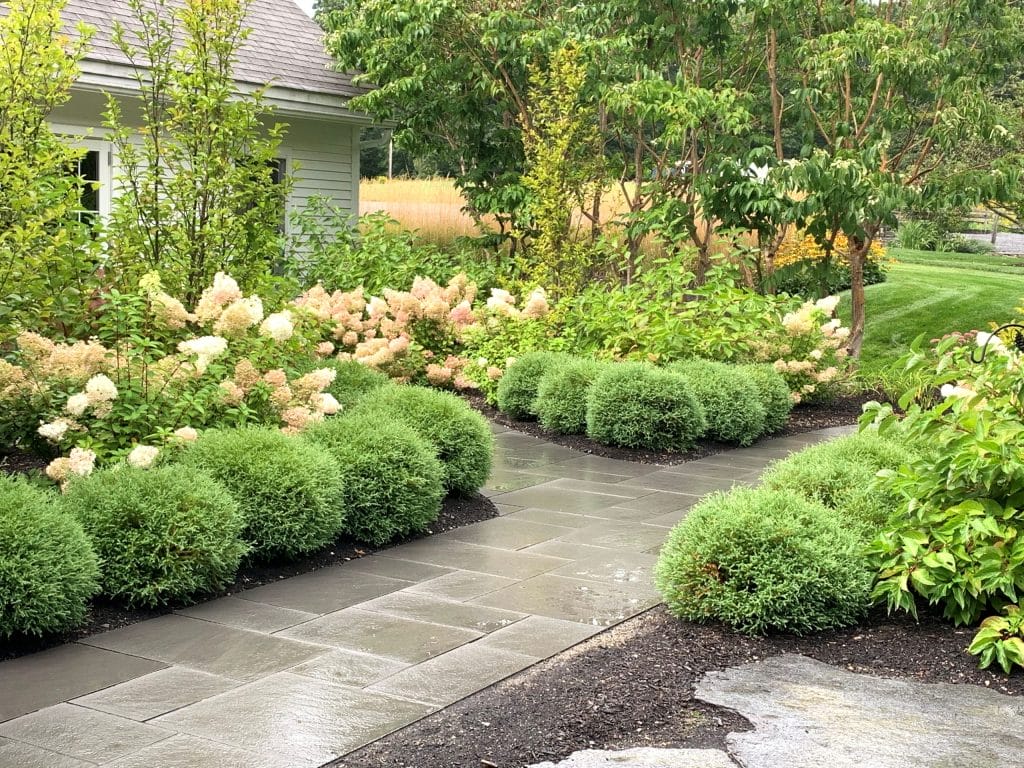 Fresh Looks for Timeless Appeal