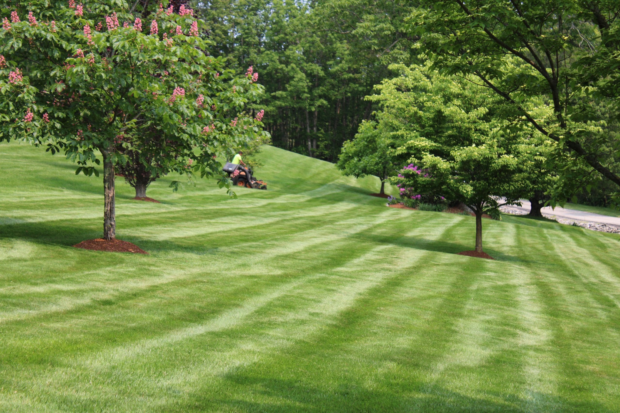 Fall Lawn Renovation: Preparing Your Yard for a Lush Spring - Princeton